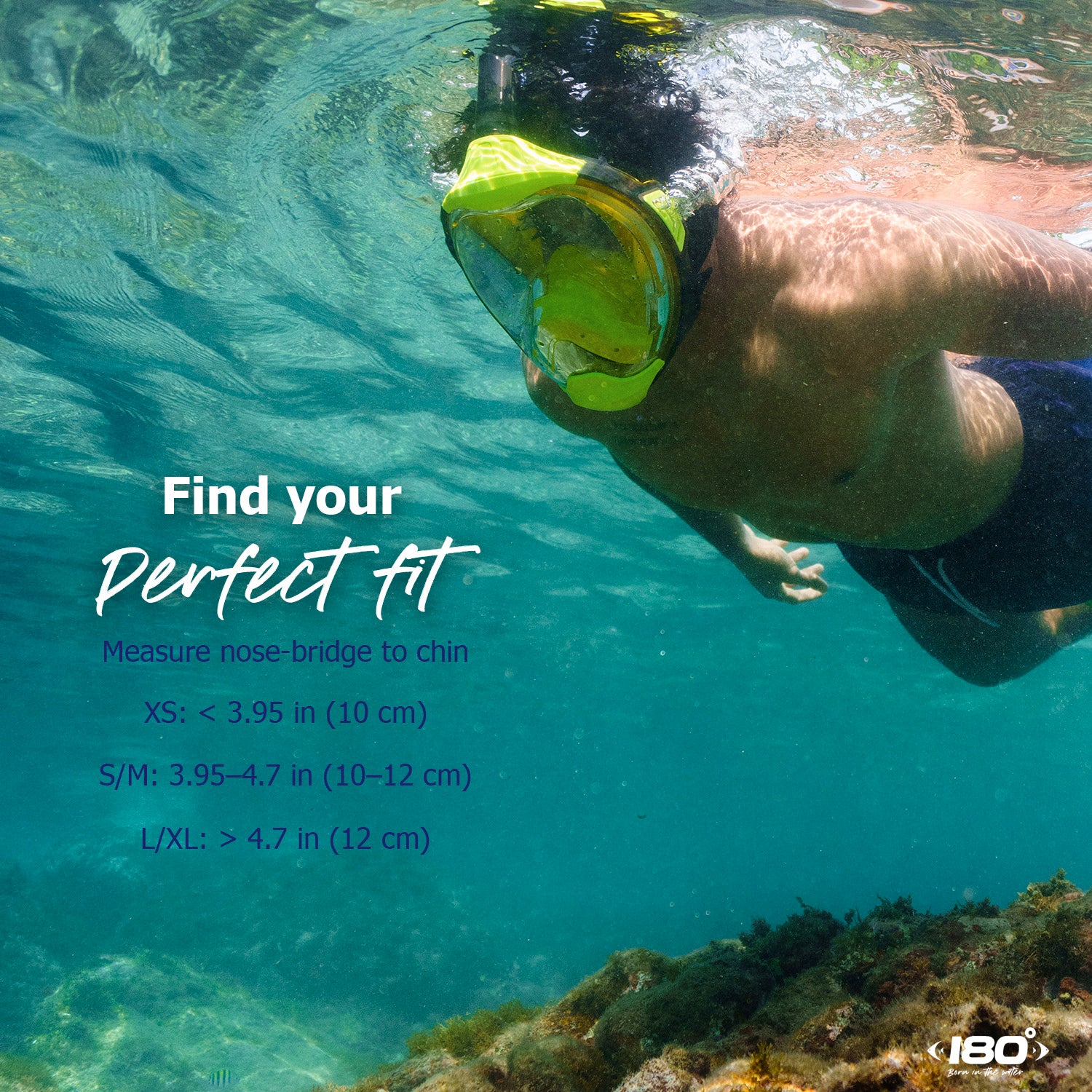 LENTE TRANSPARENTE MOFLOW+