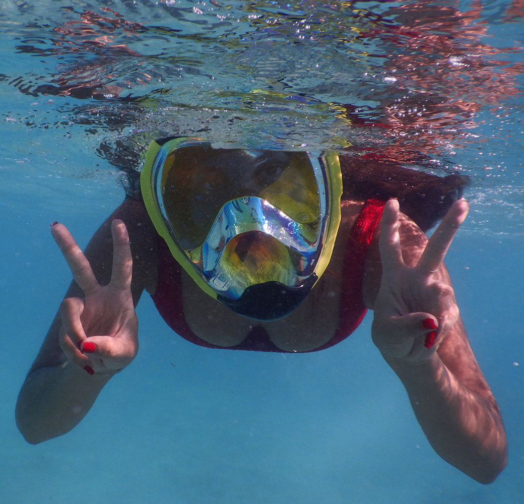 A Guide to New Wonders: Exploring the Best Snorkeling In Florida