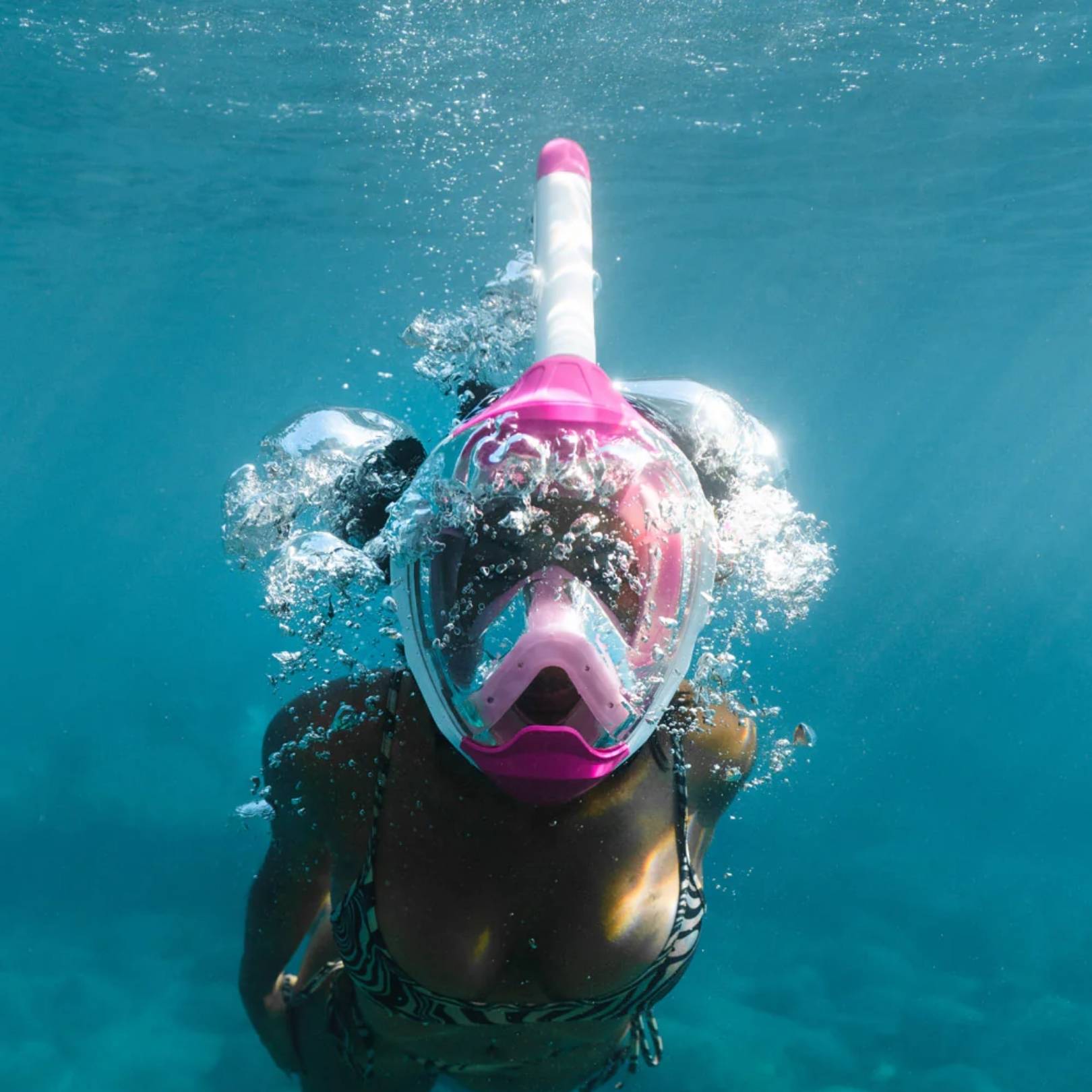 Best Places to Snorkel Near Miami